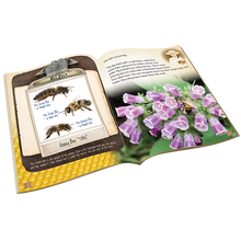 Load image into Gallery viewer, Bee Happy Bailee