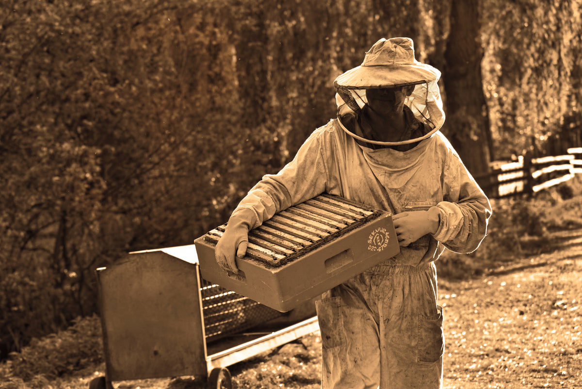 Bee Ware Hive Ware – Bee Happy Beekeeping