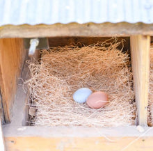 Load image into Gallery viewer, Nest Box Egg