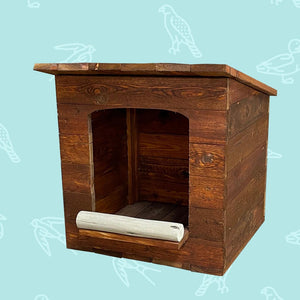 Owl Box - spotted Eagle Owl