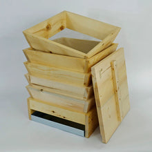 Load image into Gallery viewer, Worm Hive (5 Tray)