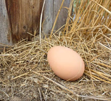 Load image into Gallery viewer, Nest Box Egg