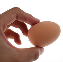 Load image into Gallery viewer, Nest Box Egg
