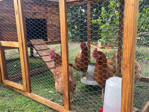 Chicken Coop with Nesting Boxes and Run