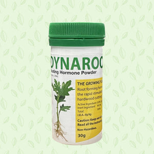 Dynaroot Rooting Hormone Powder