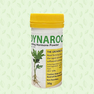 Dynaroot Dynaroot Rooting Hormone Powder – Bee Happy Beekeeping