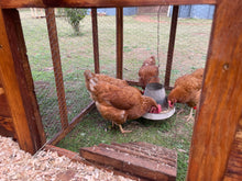 Load image into Gallery viewer, Chicken Coop with Nesting Boxes and Run