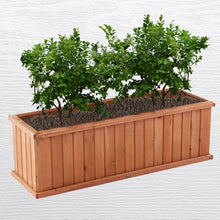 Load image into Gallery viewer, Thokozile Planter